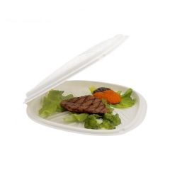 Disposable Bagasse Disposable Box For Food Clamshell Biodegradable Box