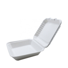 Boîte à déjeuner biodégradable écologique de pulpe de canne à sucre de bagasse d'emballage