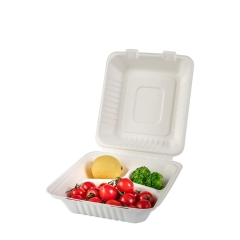 Disposable Popular Eco Takeaway Sugarcane Bagasse Food Containers