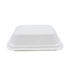 La bagasse jetable compostable écologique de canne à sucre en gros sortir la boîte de nourriture de récipient à clapet