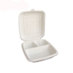 Current hot-selling eco-friendly disposable office food container