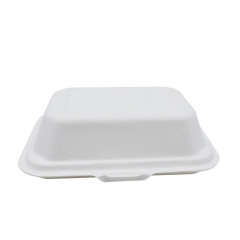 Contenitore per polpa scomponibile Porta via Bagassa Food Lunch Scatola con coperchio