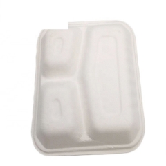 Caja desechable para llevar Bagazo Contenedor de comida con forma de concha de 3 rejillas