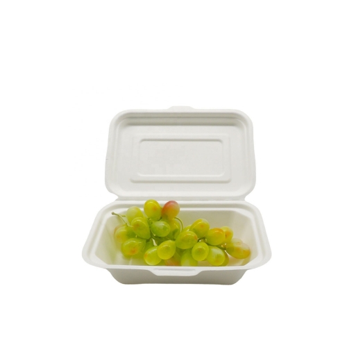 Disposable Biodegradable Bagasse Takeout Food Packaging Container
