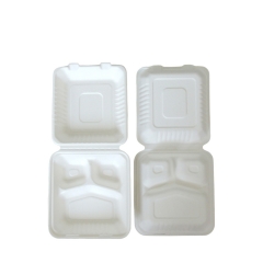 Disposable Popular Eco Takeaway Sugarcane Bagasse Food Containers