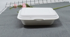 Decomposable Pulp Container Take Away Bagasse Food Lunch Box with Lid