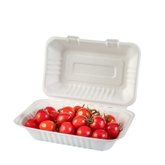 Биоразлагаемый ящик для еды на вынос  коробка для фаст-фуда из багассы для оптовых продаж