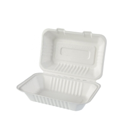 Recipiente de comida quente biodegradável Recipiente de comida quente descartável com bagaço em caixa de concha