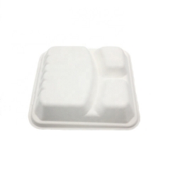 Caja de comida de bagazo Contenedor de comida de concha a rayas de caña de azúcar para llevar de 3 rejillas