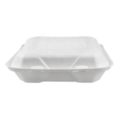 Biodegradable Customable Logo Sugarcane Tableware Food Container Bagasse Takeaway Box