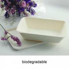 1000ml biodegradable microwave pulp bagasse lunch box