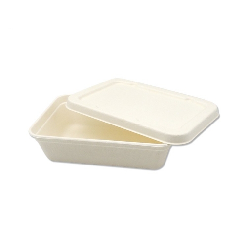 Best sale biodegradable disposable sugarcane food container with lid for party