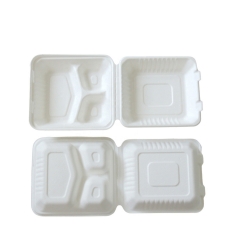 Biodegradable Disposable Fast Food Container Paper Bagasse Pulp Box 200 Pack 9 Inch
