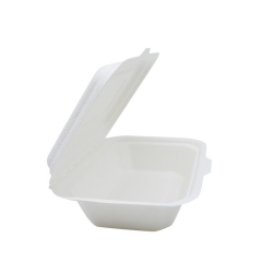 600ml disposable Sugarcane Bagasse food container