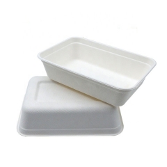 Contenants alimentaires jetables étanches à 100 % compostables contenant rectangulaire jetable de stockage des aliments