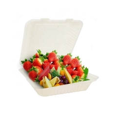 9 Inch Clamshell Bagasse Pulp Sugarcane Box for Take-out Food