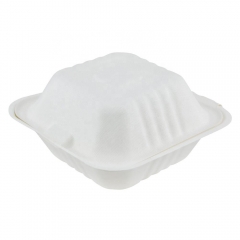 6 Inch Disposable Bagasse Sugarcane Biodegradable Food Container Box