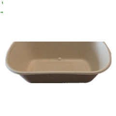 Caja disponible de empaquetado de la comida del almuerzo de la concha de la aduana biodegradable al por mayor 1000ml