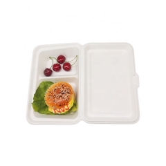 Bagasse Clamshell 2 Compartment Food Takeaway Sugarcane Food Container