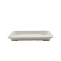 Biodegradable Bagasse Sushi Box With Lid Sugarcane Trays Compostable
