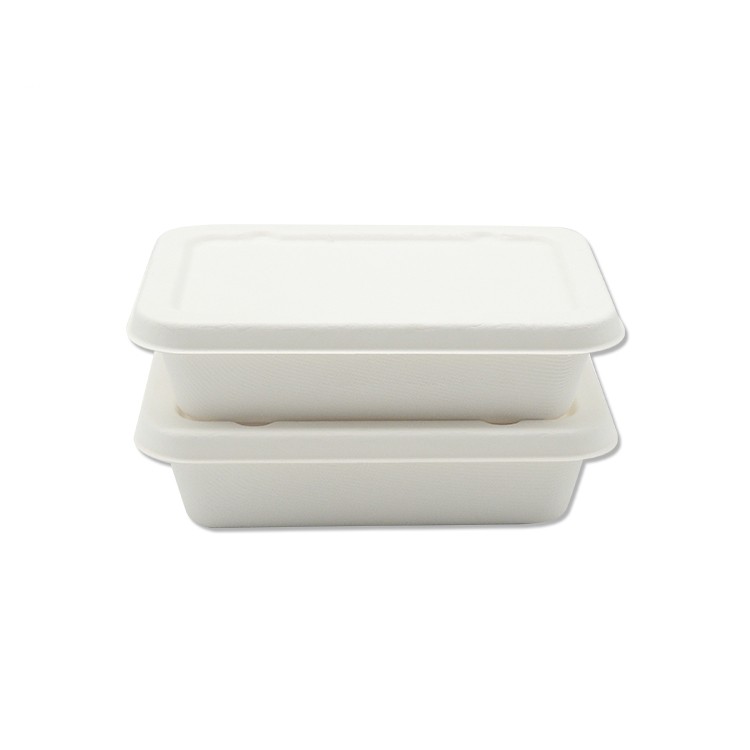 China Disposable Takeaway Plastic Storage Food Container factory and  manufacturers