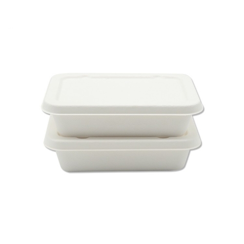 China manufacture takeaway food container sugarcane bagasse tableware food tray disposable tableware