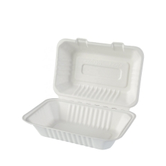 Biodegradable Leak Proof Container Bowl Sugarcane Bagasse Two Partition Food Containers 250 Pack 9 Inch