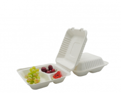 3-Compartment Biodegradable Sugarcane bagasse food container 8 Inches