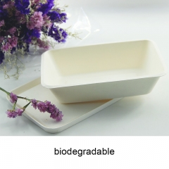 Boîte à déjeuner de bagasse de pulpe de micro-ondes biodégradable de 1000 ml