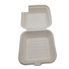 Caja desechable 100% biodegradable de caña de azúcar para almuerzo de pulpa