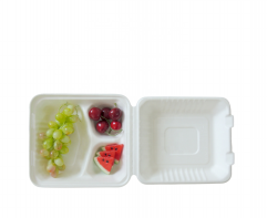 3-Compartment Biodegradable Sugarcane bagasse food container 8 Inches