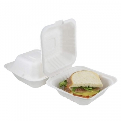 6 Inch Disposable Bagasse Sugarcane Biodegradable Food Container Box