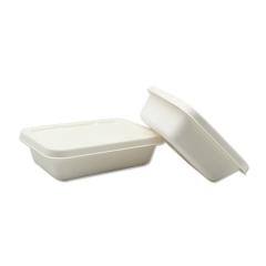 Best sale biodegradable disposable sugarcane food container with lid for party