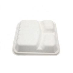 Bagasse Food Box Clamshell Takeaway Sugarcane 3 Compartment Food Container