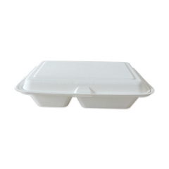 2 compartment disposable Sugarcane Bagasse lunch box