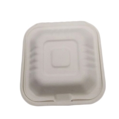 100% biodegradable disposable bagasse food container with lid