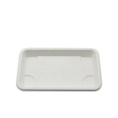 Biodegradable Bagasse Sushi Box With Lid Sugarcane Trays Compostable