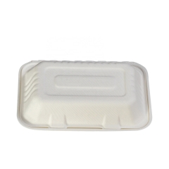 Recipiente de comida quente biodegradável Recipiente de comida quente descartável com bagaço em caixa de concha