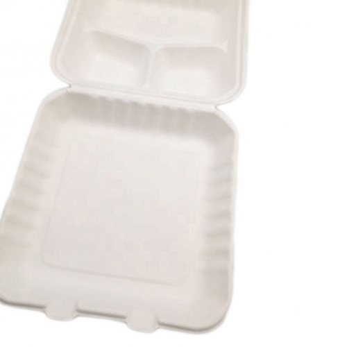 Bagasse Box  Bagazo Contenedor de comida con forma de almeja de 3 compartimentos