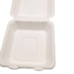 Biodegradable disposable sugarcane bagasse fast food storage container for restaurant