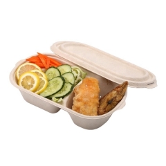 100% Biodegradable Food container 800ml Disposable Bagasse Sugarcane Food Box