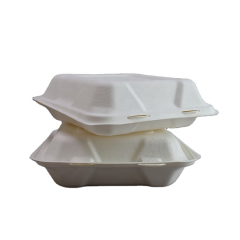 Biodegradable Customable Logo Sugarcane Tableware Food Container Bagasse Takeaway Box