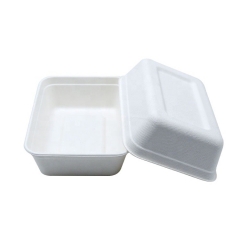 100% Compostable disposable leak proof food containers disposable rectangular food storage container