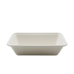China manufacture takeaway food container sugarcane bagasse tableware food tray disposable tableware