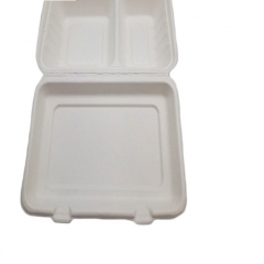 Scatola di imballaggio compostabile al 100% Contenitore per alimenti usa e getta con coperchio