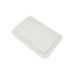 2 Compartment Biodegradable Disposable Takeaway Food Container For Restaurant