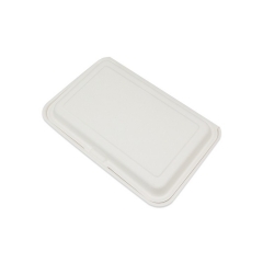 2 compartment disposable Sugarcane Bagasse lunch box