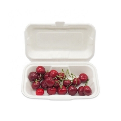 Biodegradable Disposable Sugarcane Clamshell Bento Box For Food Takeaway