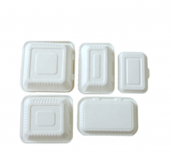 3-Compartment Biodegradable Sugarcane bagasse food container 8 Inches