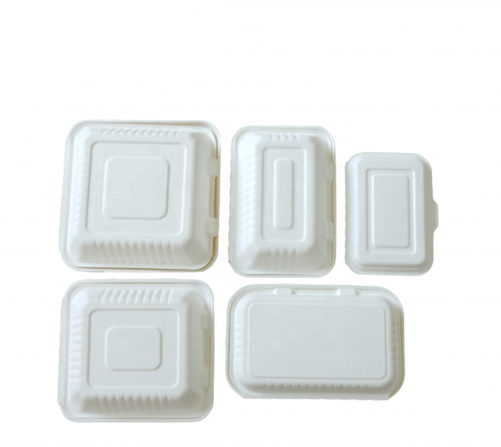 3-Compartment Biodegradable Sugarcane bagasse food container 8 Inches